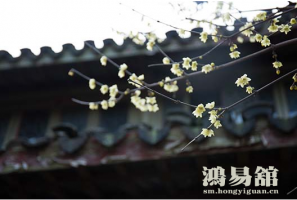 b型血女人的性格特点 B型血女生性格解析