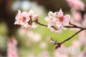 b型血女人的性格特点 B型血女生性格解析