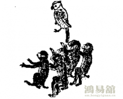 b型血女人的性格特点 B型血女生性格解析