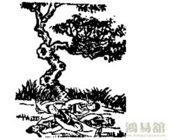 b型血女人的性格特点 B型血女生性格解析