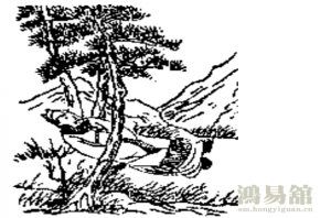 b型血女人的性格特点 B型血女生性格解析