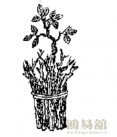 b型血女人的性格特点 B型血女生性格解析