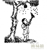 b型血女人的性格特点 B型血女生性格解析