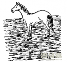 b型血女人的性格特点 B型血女生性格解析