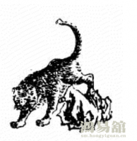 b型血女人的性格特点 B型血女生性格解析