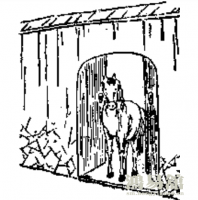 b型血女人的性格特点 B型血女生性格解析