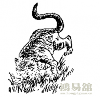 b型血女人的性格特点 B型血女生性格解析