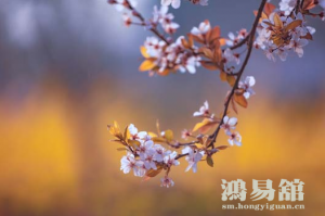 双春年有什么忌讳