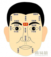 b型血女人的性格特点 B型血女生性格解析