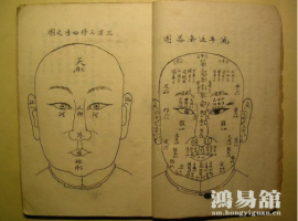 b型血女人的性格特点 B型血女生性格解析