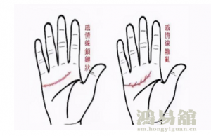 b型血女人的性格特点 B型血女生性格解析