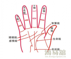 b型血女人的性格特点 B型血女生性格解析