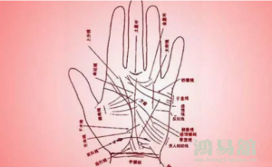 b型血女人的性格特点 B型血女生性格解析