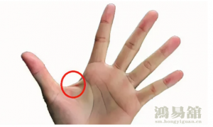 b型血女人的性格特点 B型血女生性格解析