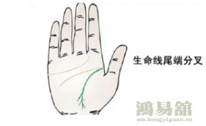 b型血女人的性格特点 B型血女生性格解析