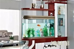 b型血女人的性格特点 B型血女生性格解析