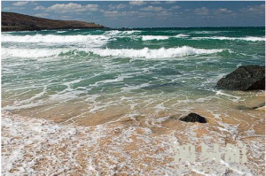 b型血女人的性格特点 B型血女生性格解析