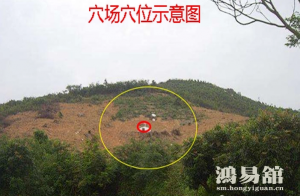 b型血女人的性格特点 B型血女生性格解析