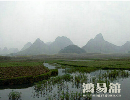 b型血女人的性格特点 B型血女生性格解析