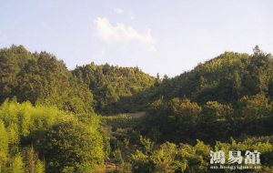 b型血女人的性格特点 B型血女生性格解析