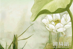 b型血女人的性格特点 B型血女生性格解析