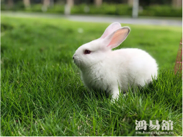 b型血女人的性格特点 B型血女生性格解析