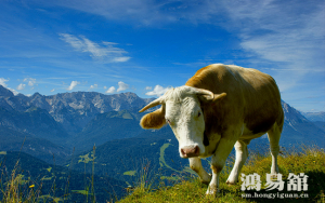 b型血女人的性格特点 B型血女生性格解析