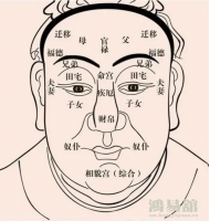 b型血女人的性格特点 B型血女生性格解析