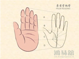 b型血女人的性格特点 B型血女生性格解析