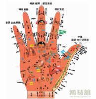 b型血女人的性格特点 B型血女生性格解析