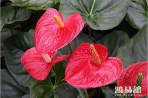 b型血女人的性格特点 B型血女生性格解析