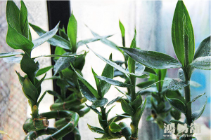 b型血女人的性格特点 B型血女生性格解析