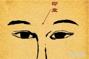 b型血女人的性格特点 B型血女生性格解析