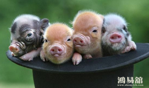 b型血女人的性格特点 B型血女生性格解析