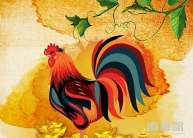 b型血女人的性格特点 B型血女生性格解析