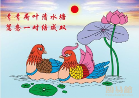 b型血女人的性格特点 B型血女生性格解析