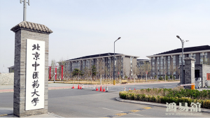 b型血女人的性格特点 B型血女生性格解析