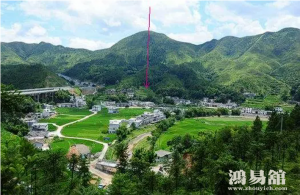 b型血女人的性格特点 B型血女生性格解析