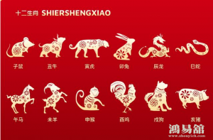 b型血女人的性格特点 B型血女生性格解析