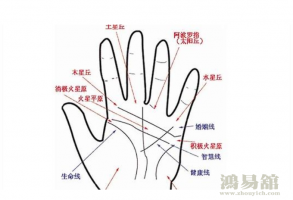 b型血女人的性格特点 B型血女生性格解析