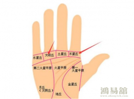 b型血女人的性格特点 B型血女生性格解析