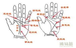 b型血女人的性格特点 B型血女生性格解析