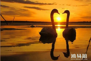 八字算爱情运势的好坏