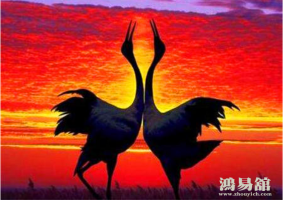 有青梅竹马的爱情命格