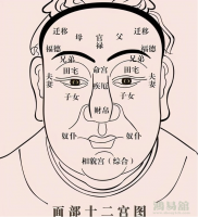 b型血女人的性格特点 B型血女生性格解析