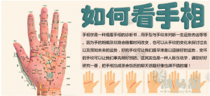 b型血女人的性格特点 B型血女生性格解析