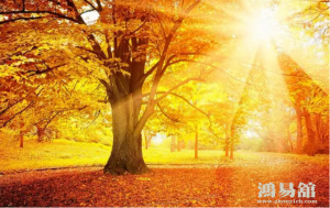 车牌2代表的数字含义是什么 好事成双成对平平安安