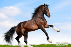 b型血女人的性格特点 B型血女生性格解析