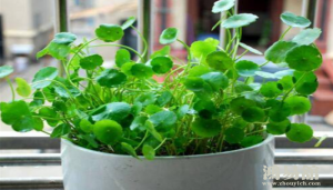 b型血女人的性格特点 B型血女生性格解析