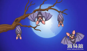 b型血女人的性格特点 B型血女生性格解析